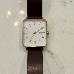 Skagen Rose Gold and Brown Leather Watch